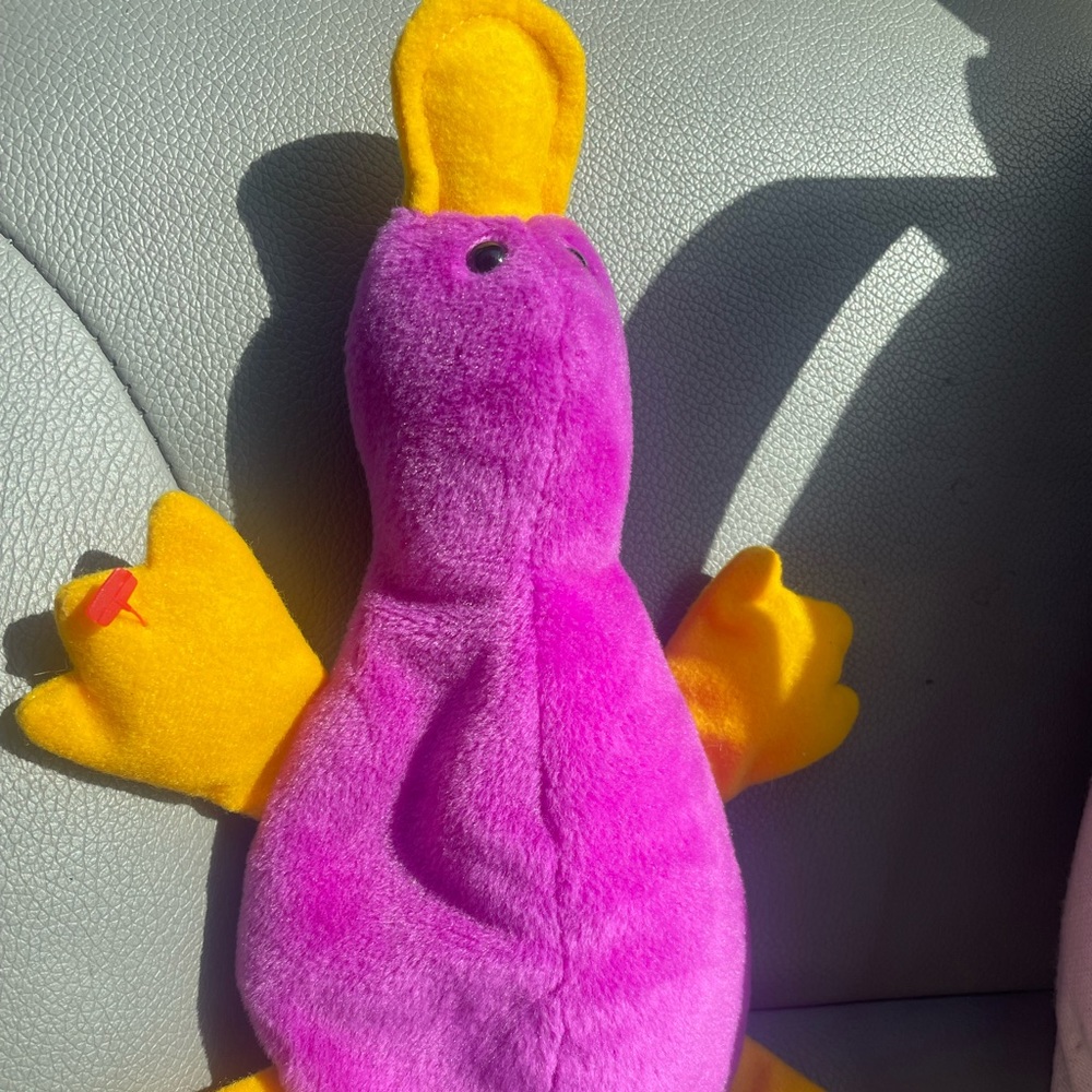Patti the platypus beanie baby